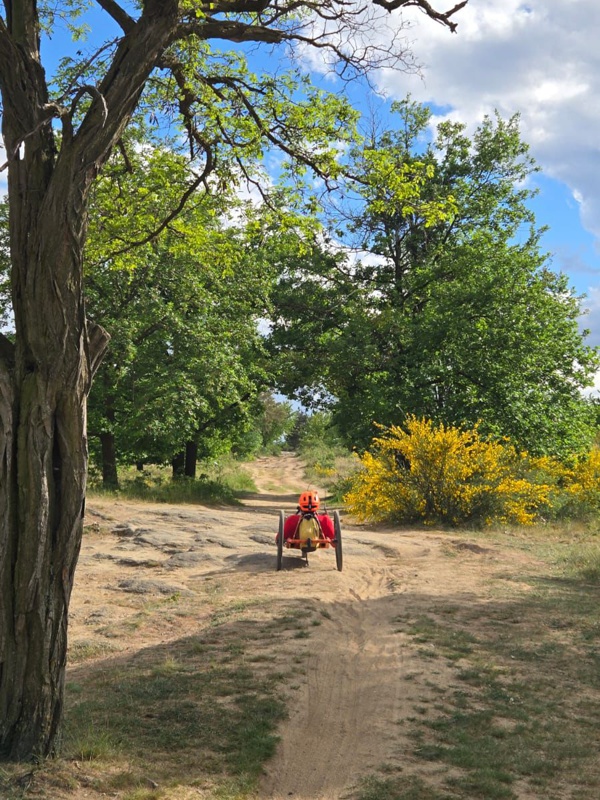 MTB handbike